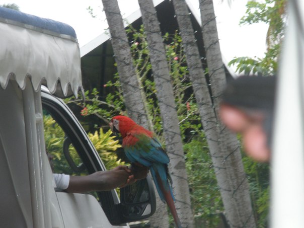 №47, Игорь Зубков, Пермь №47, Игорь Зубков, Пермь