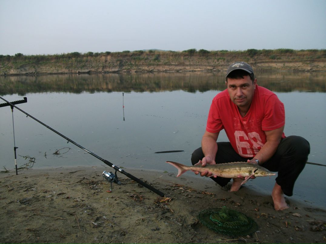 Алексей Черепухин | Воронеж