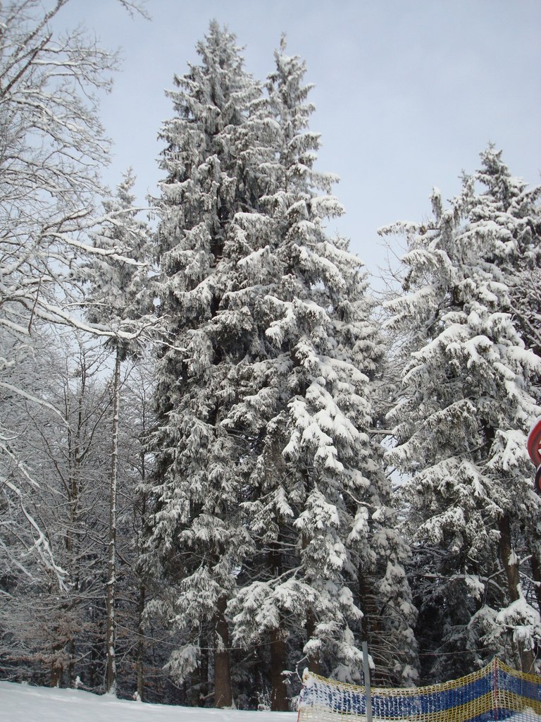 Алексей Luxery | Белгород