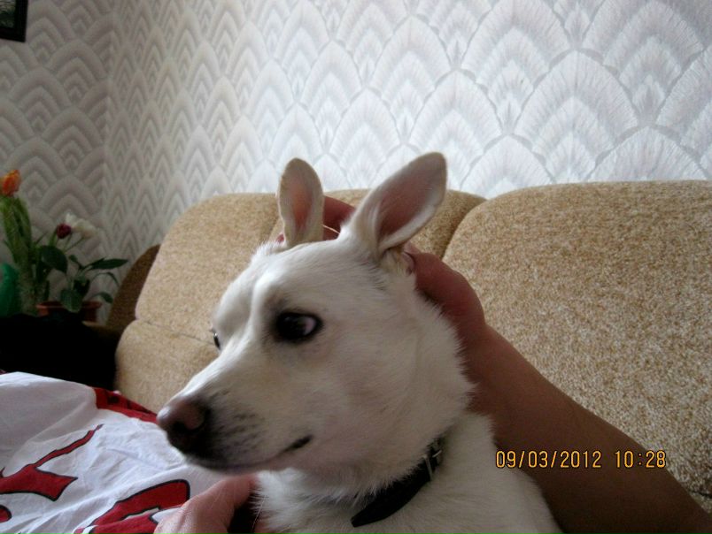 №32, Олег Лапшинский, Киев №32, Олег Лапшинский, Киев