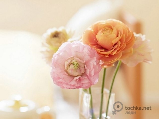 Татьяна Строковская MEL | Киев