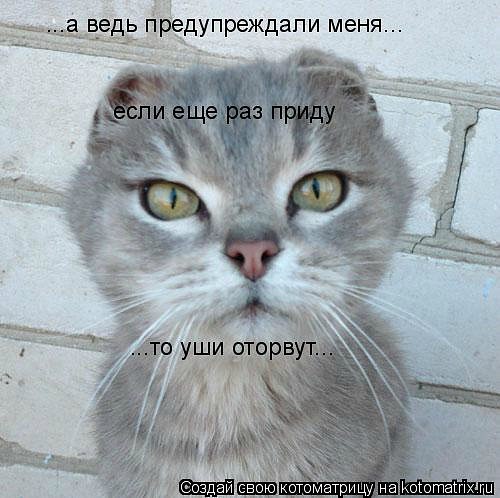 Мария Моисейчева | Киев