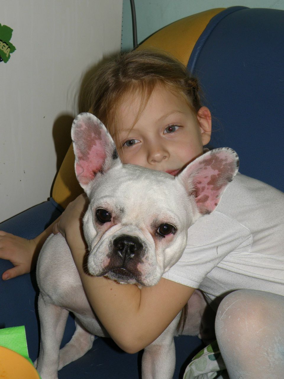 Катя Чернова (логинова) | Ровно