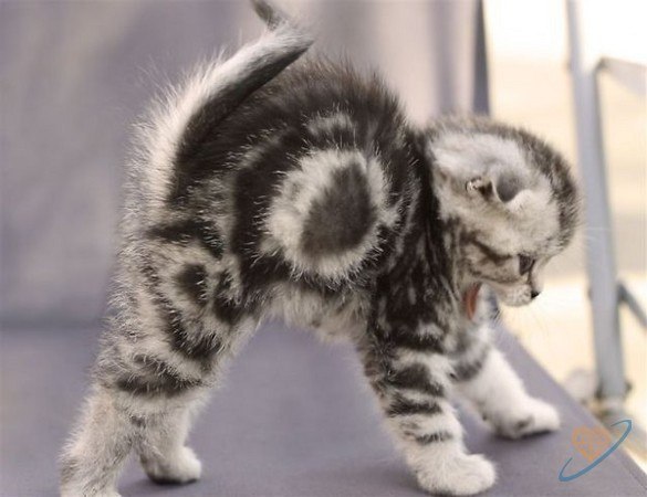 №59, Ольга Тарасова, Москва №59, Ольга Тарасова, Москва