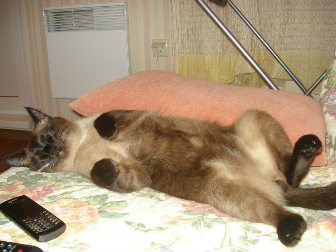 Наталья Тихая | Подгоренский