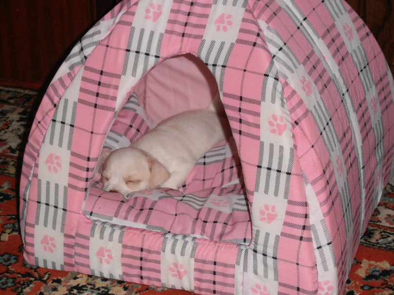 Юленька Белова | Серпухов