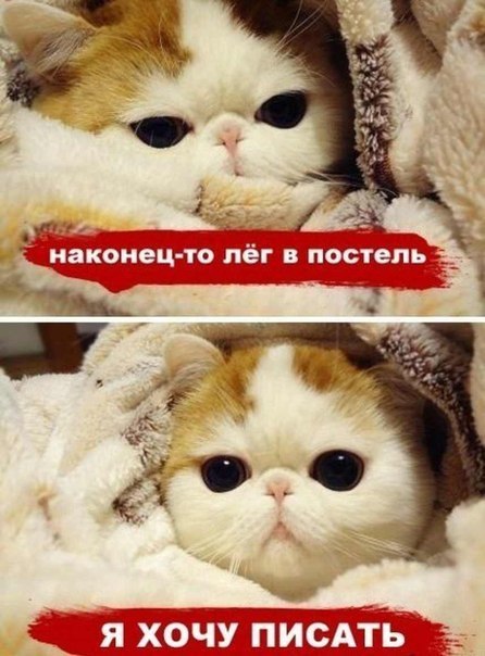 Софья Борисова | Москва