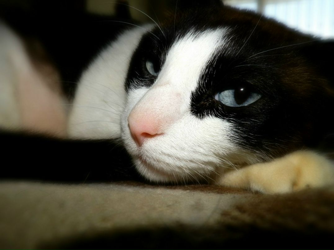 Катерина Солодка | Valencia