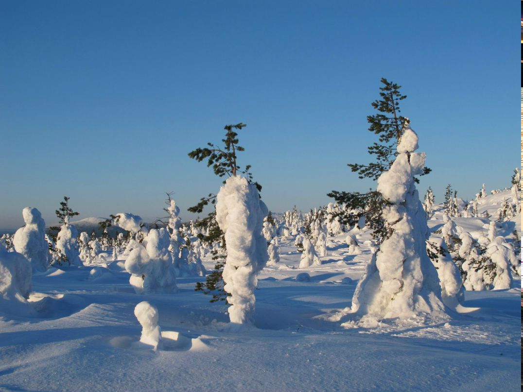 Владимир Петров | Санкт-Петербург