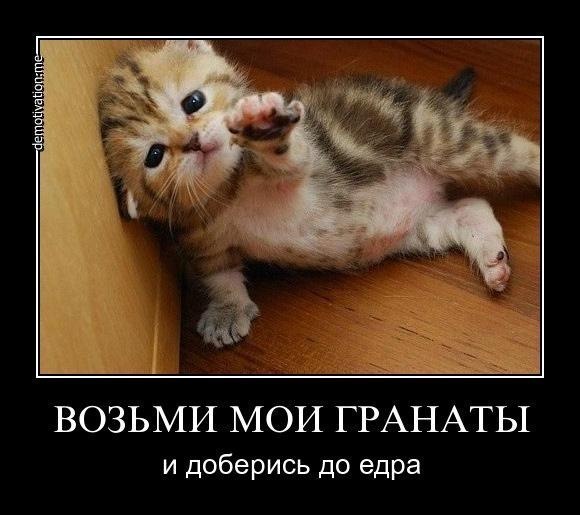 Василий Валерьевич | Москва