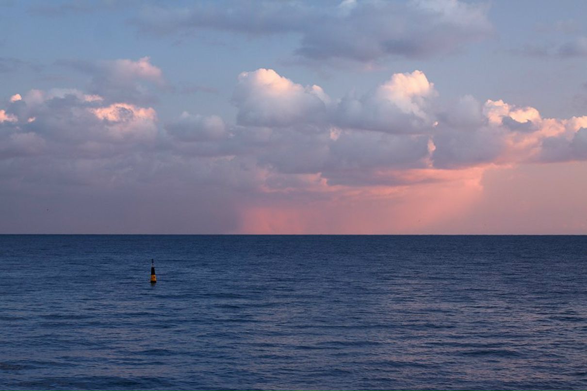 Александр Черных * | Ялта