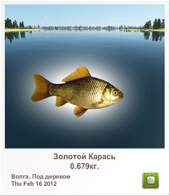 Kardan *** | Новополоцк