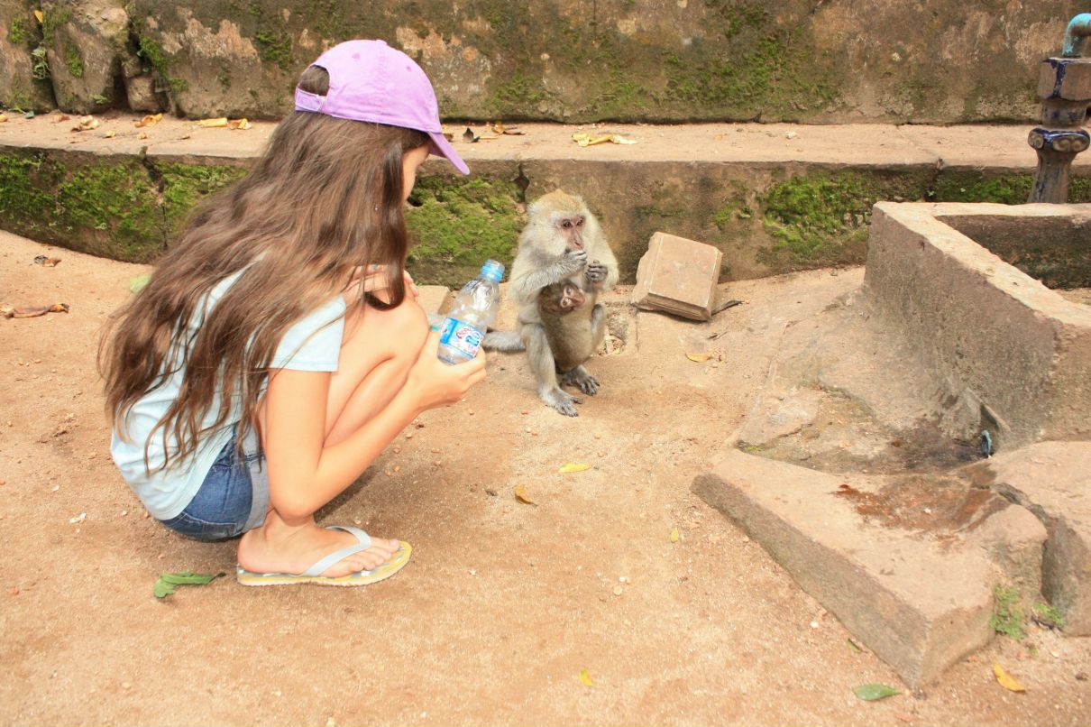 Донат Горохов | Санкт-Петербург
