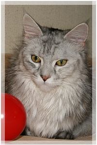 Галина Лепёшкина | 