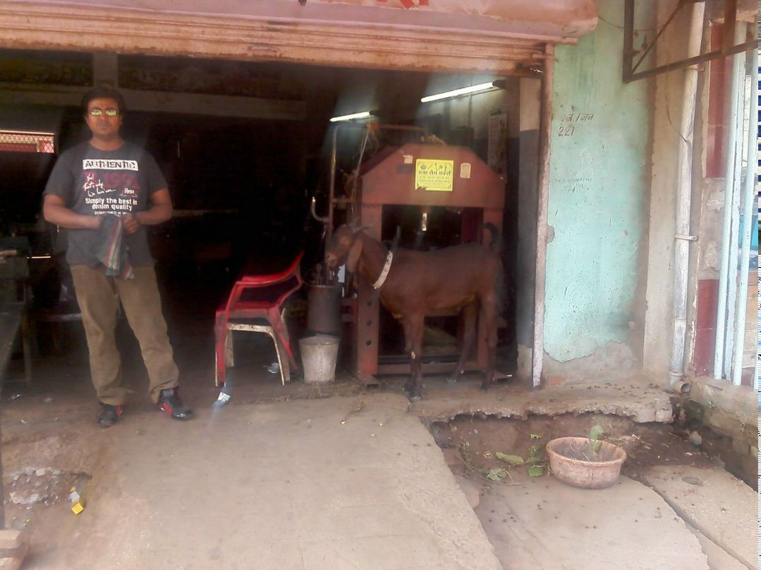 Вахид Шахвердиев | Санкт-Петербург