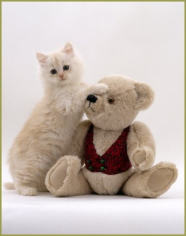 Елена Богданова | Москва