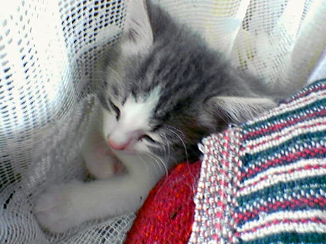 Любовь Ильина | Йошкар-Ола