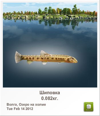 Сергей Корсунский | Харьков