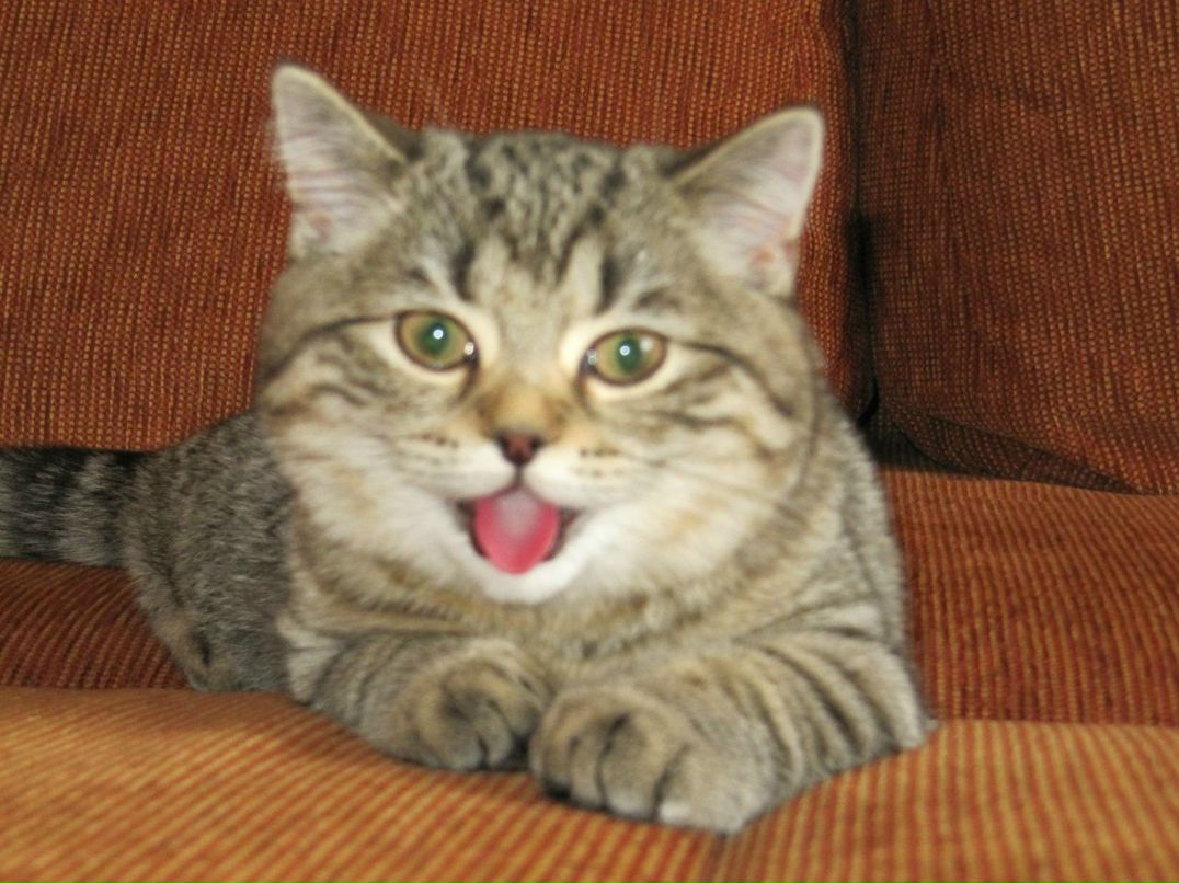 Вероника Губанова | Новокузнецк