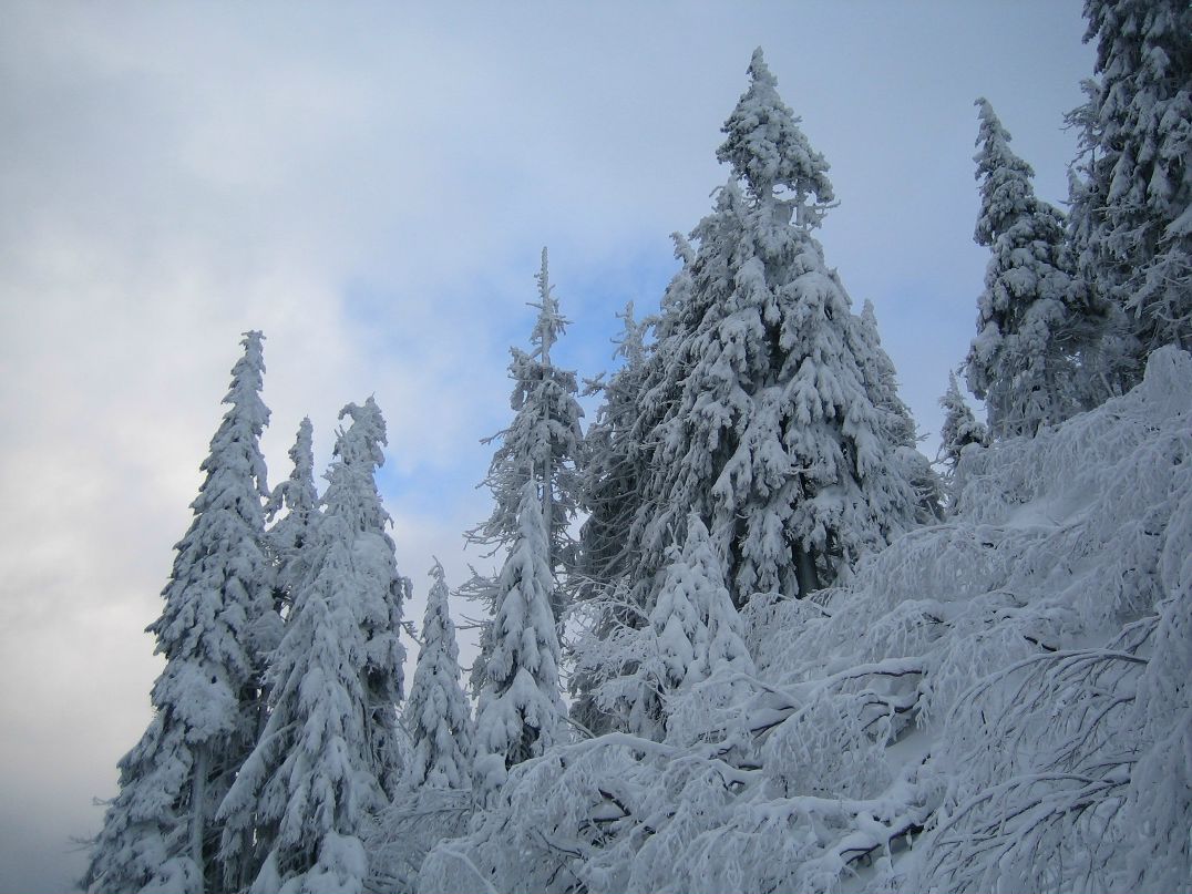 Евгений Гилка | Одесса