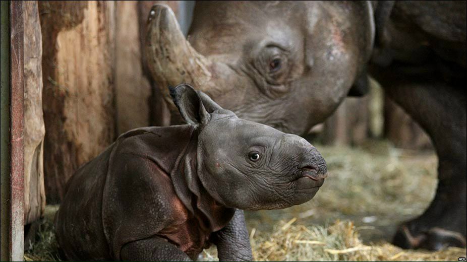 Алина Сипавина | Харьков