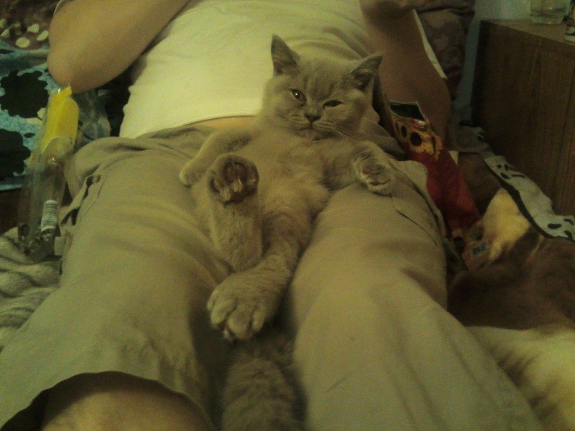 Константин Жуков | Санкт-Петербург