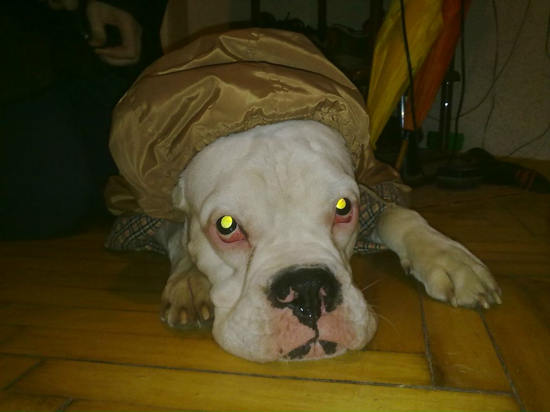 Михаил Шин | Москва