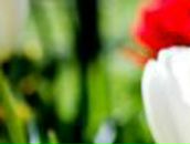 Сергей Горшков P-A-N-D-O-R-A | Москва