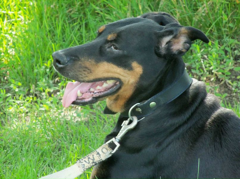 №10, Елена Мусиенко, Харьков №10, Елена Мусиенко, Харьков