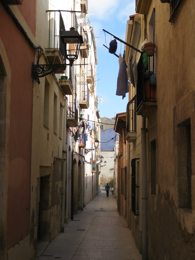 Яна Цараева | Санкт-Петербург