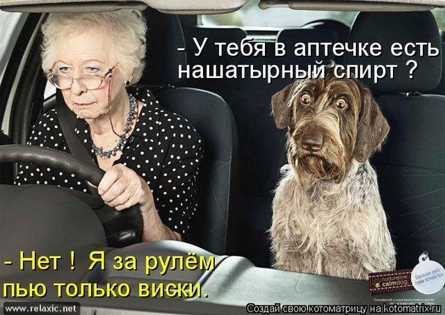 Наталья Полякова | Мурманск