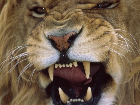 Vaxo Tbiliski | Москва