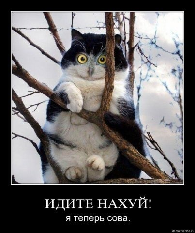 Василий Сайбель | Красноярск