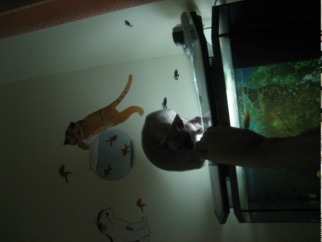 Георгий Смирнов | Пушкин