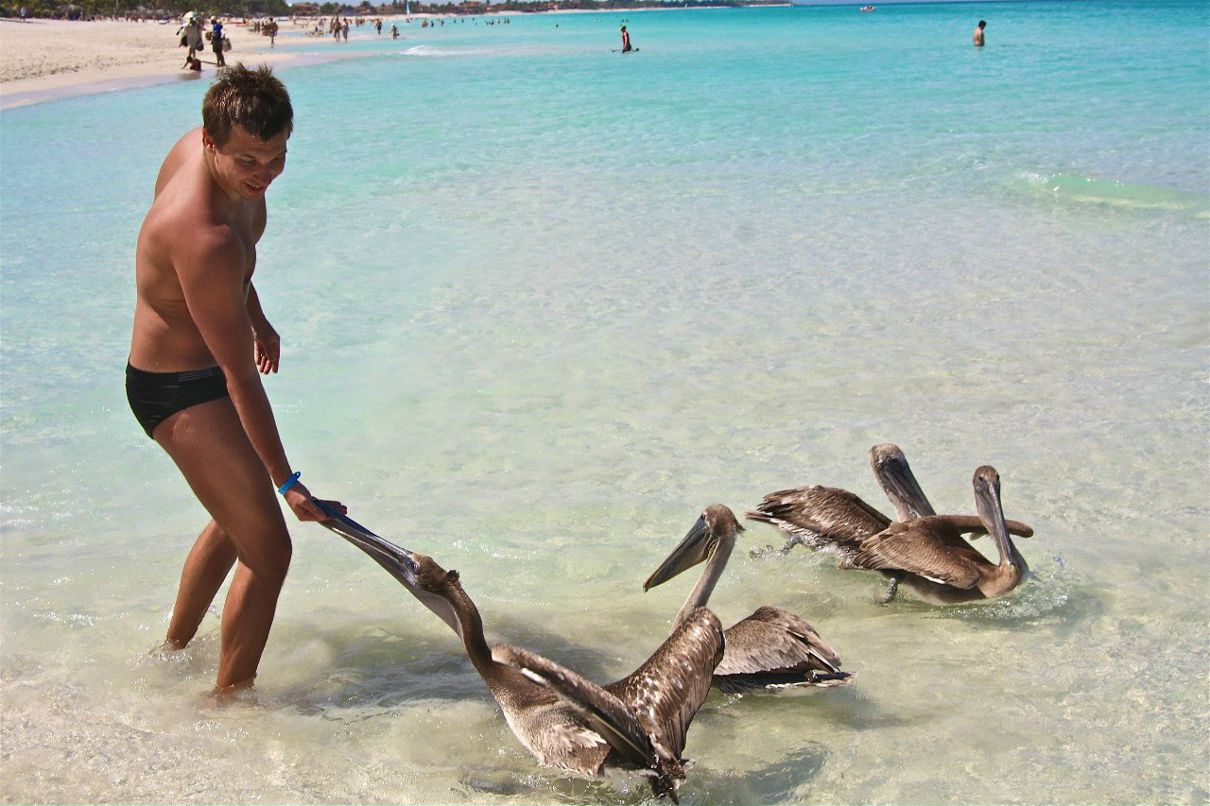 Алексей Вагнер | Москва