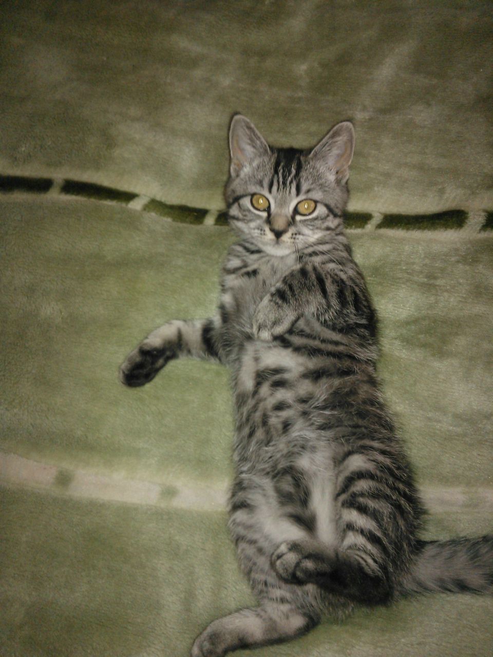 Арсен Халатян | Саров