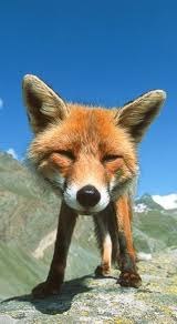 Алексей Захаров | 