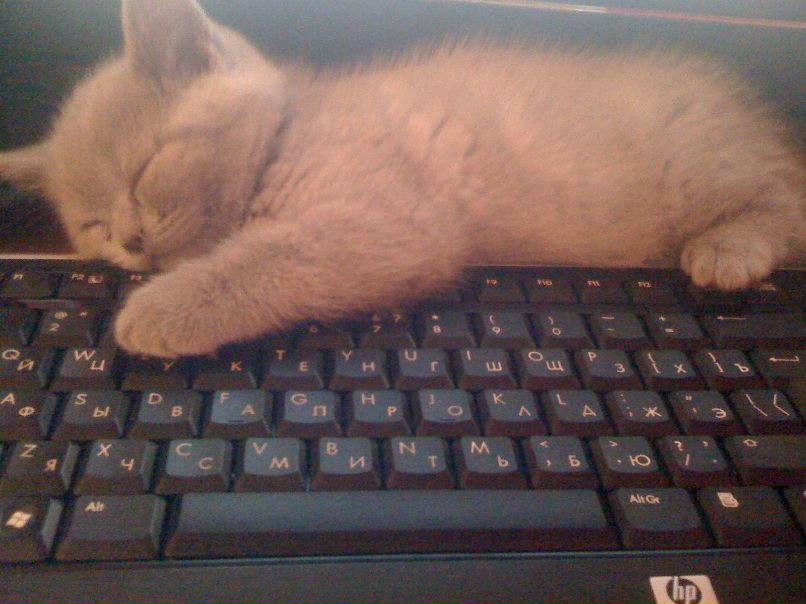 Анна Татищева | Пермь