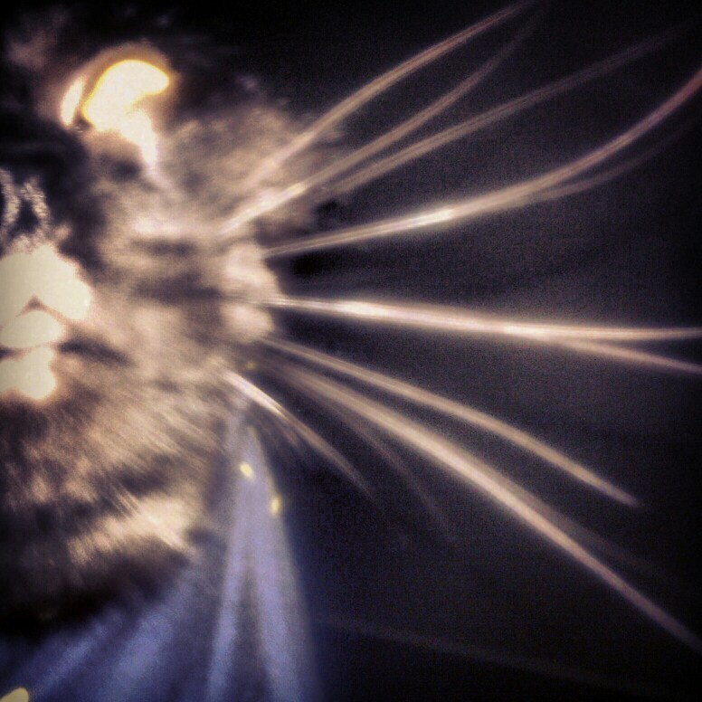 Влад Емелин | Москва