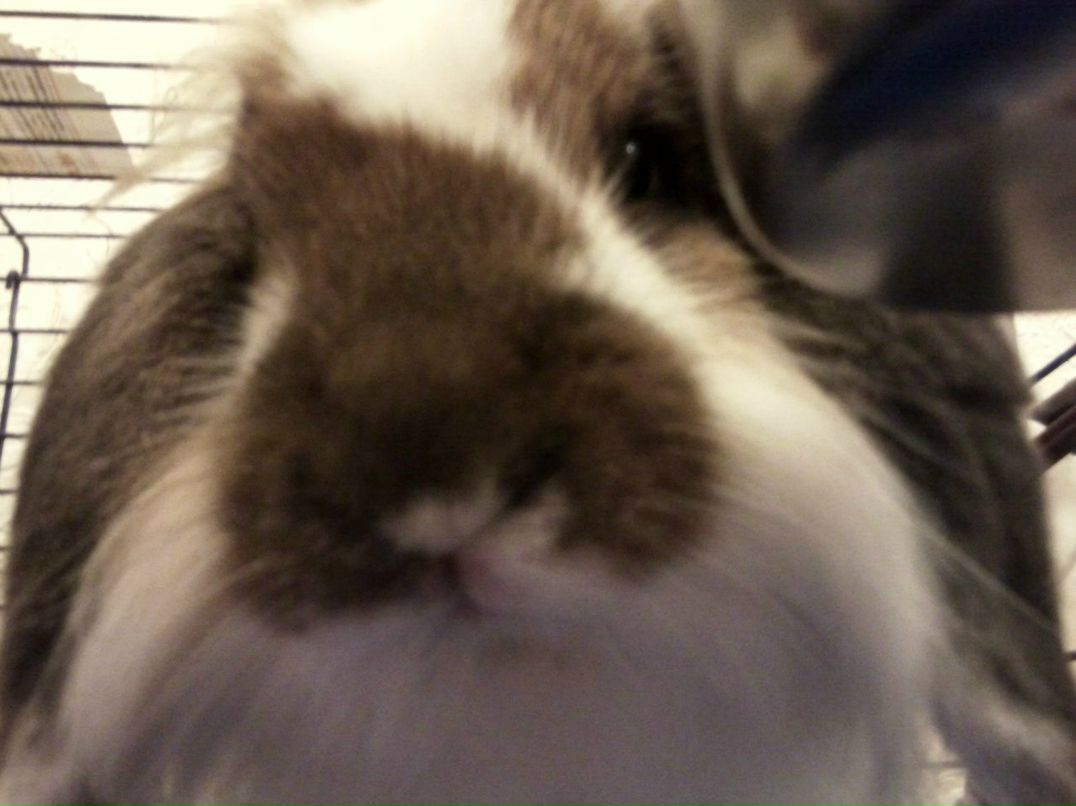 Ленок Кириченко | Киев