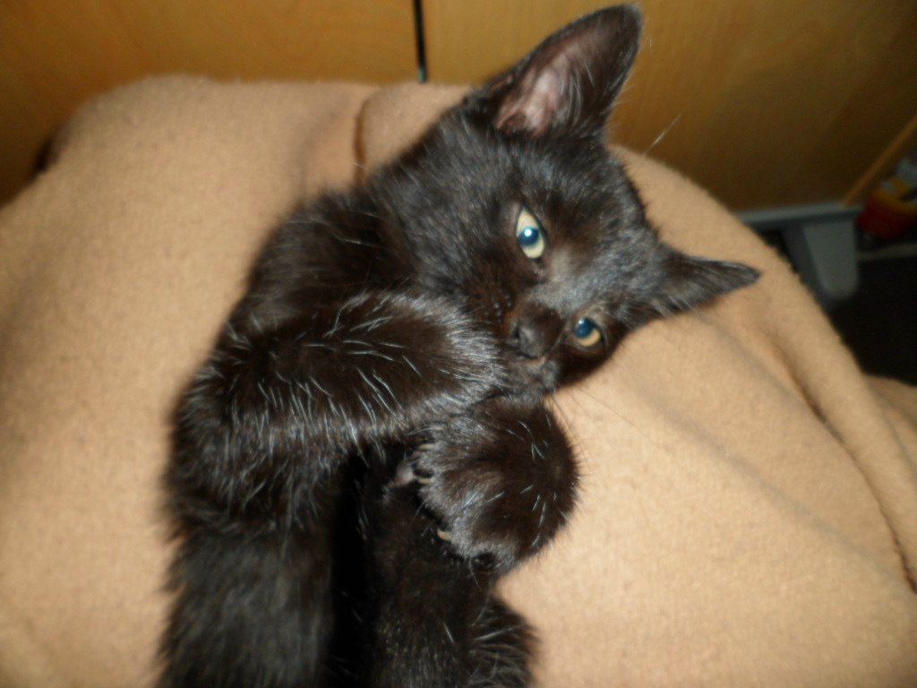 Керсти Макарова | Таллин