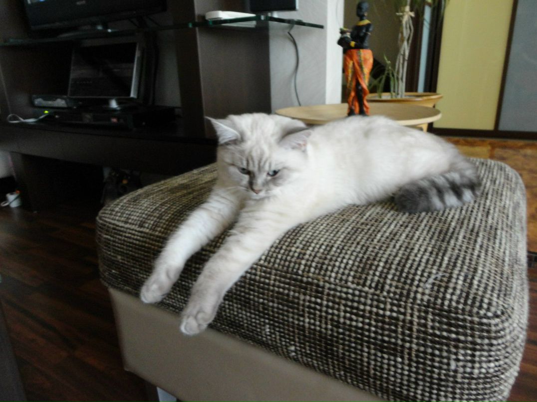 Татьяна Шилович | Минск