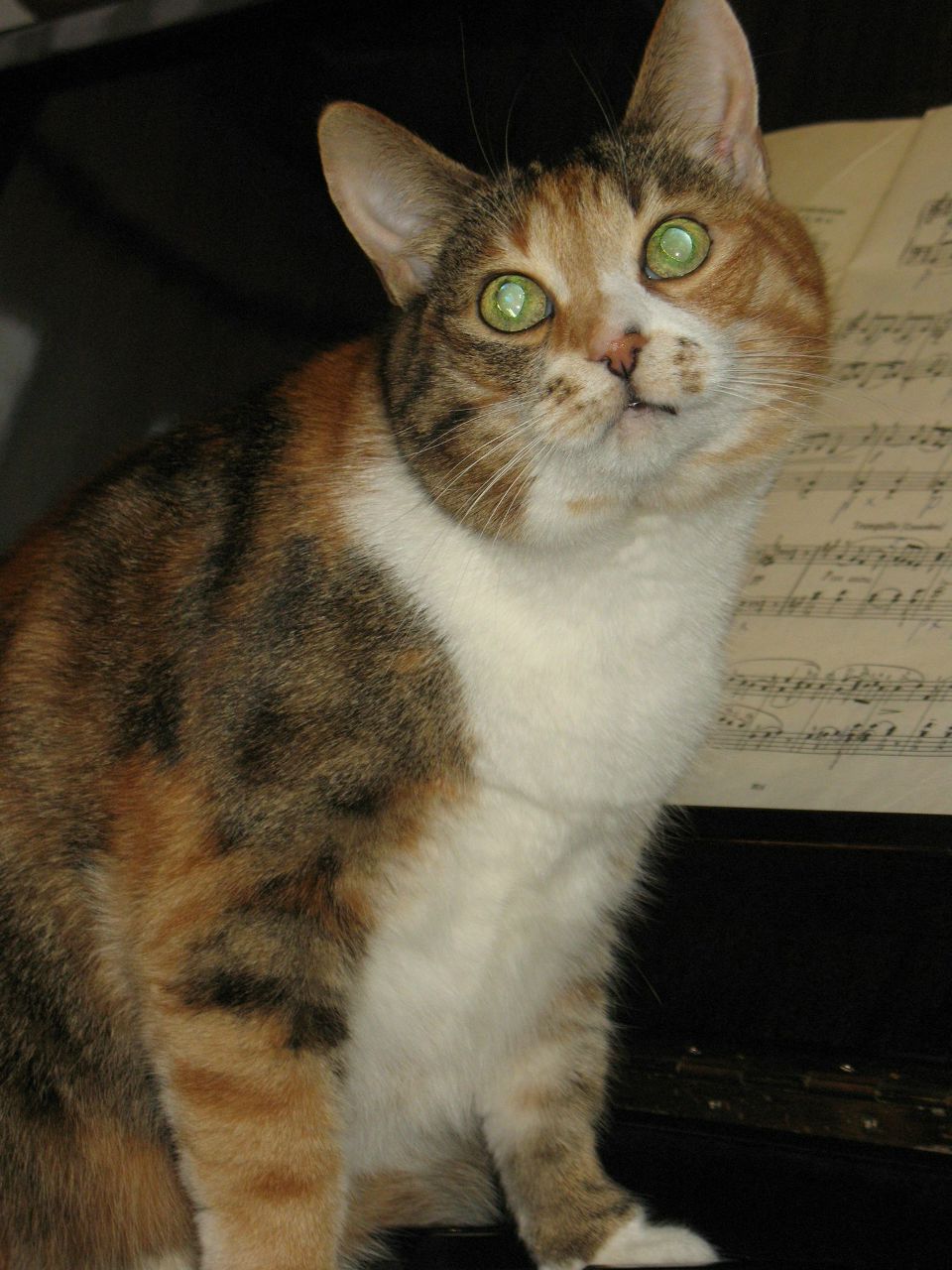 Екатерина Юдина | Москва