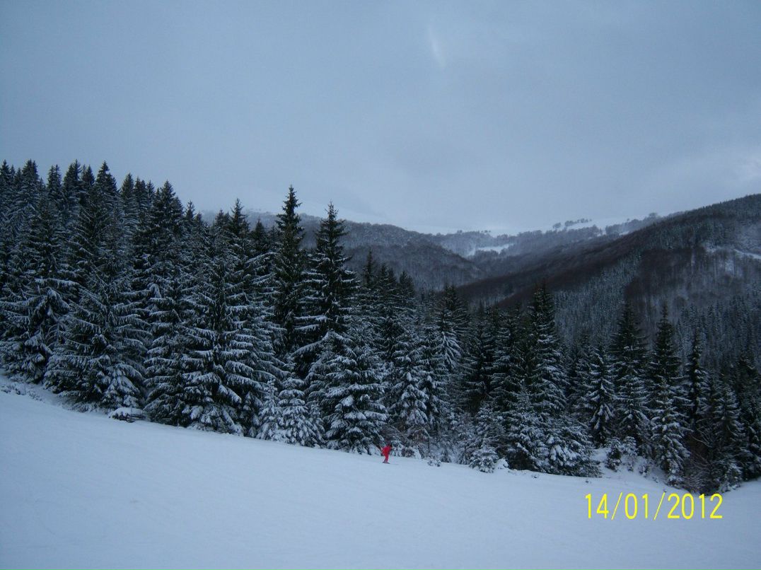 Анюта Якуба | Краматорск