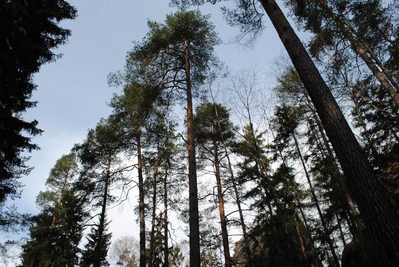 Анна Тимошкова | Москва
