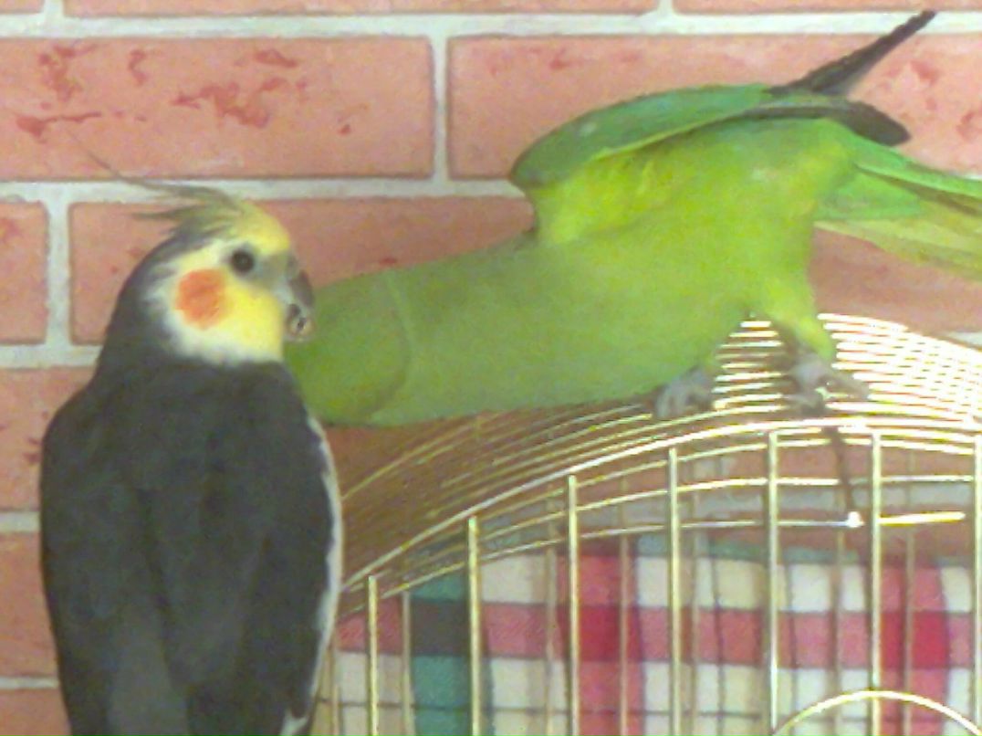 Марина Витковская | Москва