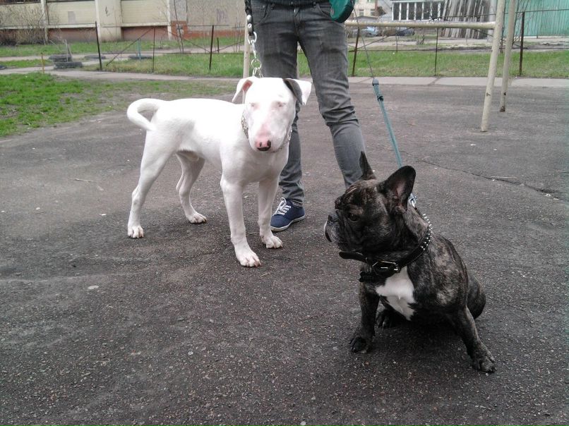 Алина Олеговна | Киев