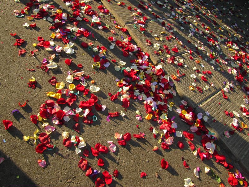 №161, Любовь Ерина, Калуга №161, Любовь Ерина, Калуга