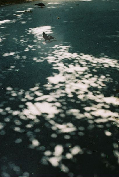 №112, Татьяна Смирнова, Краснодар №112, Татьяна Смирнова, Краснодар