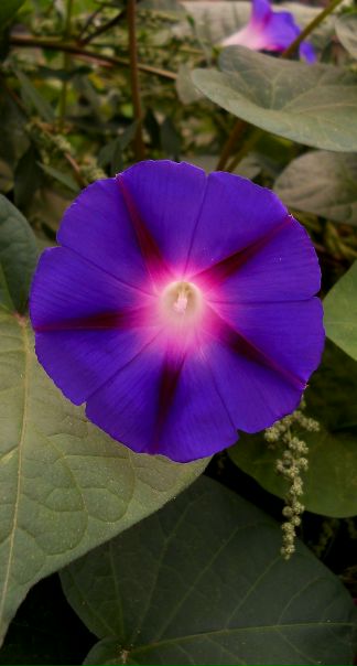 №2, Iam Сансэт, Винница №2, Iam Сансэт, Винница